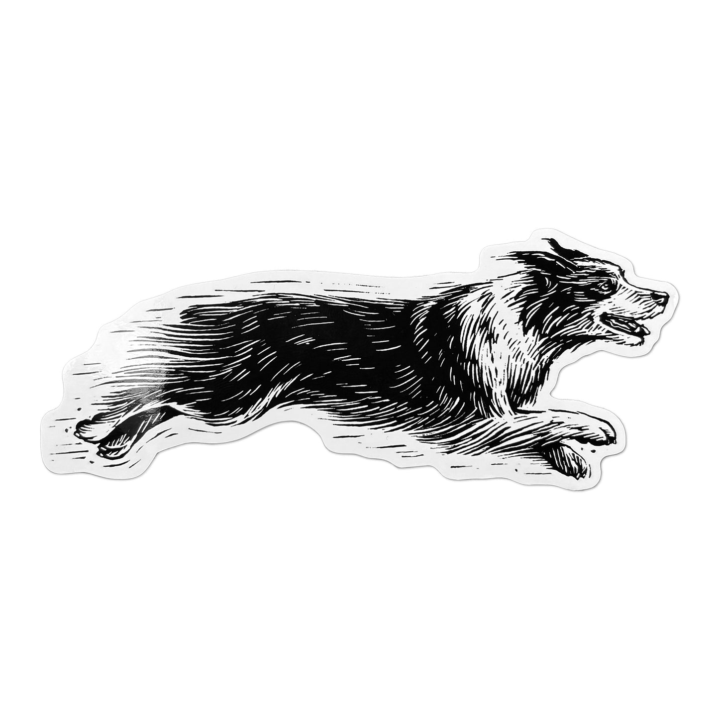 Australian Shepherd Sticker