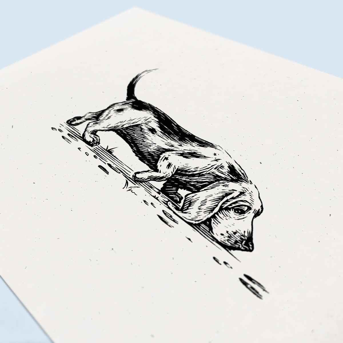 Basset Hound Art Print