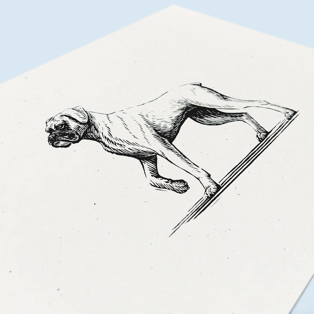 Boxer Dog Art Print