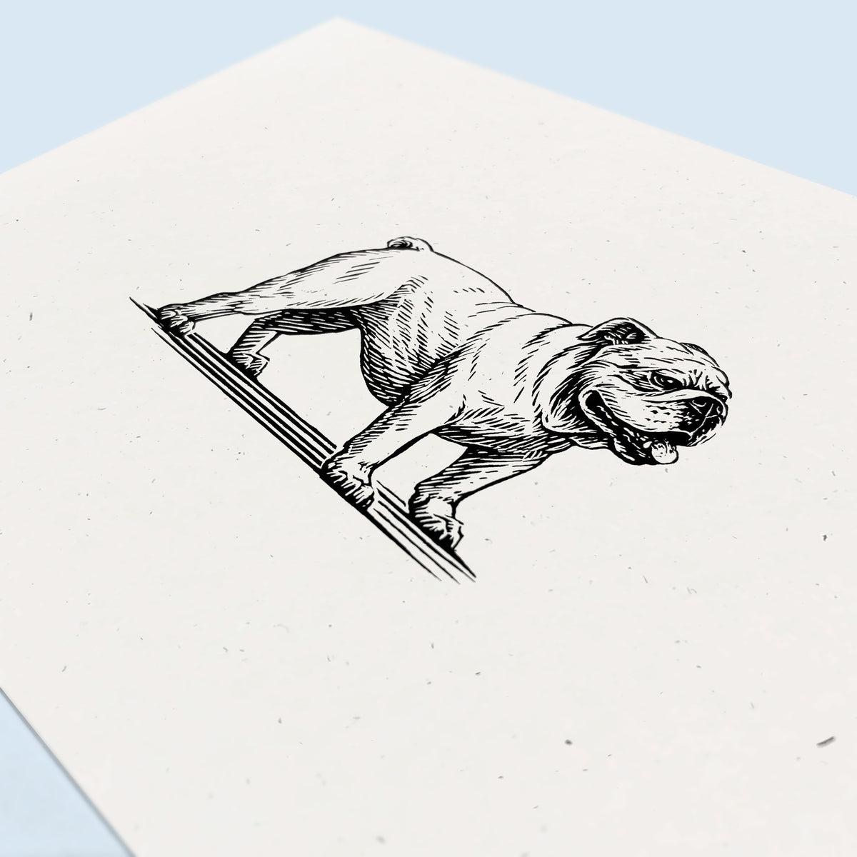 Bulldog Art Print