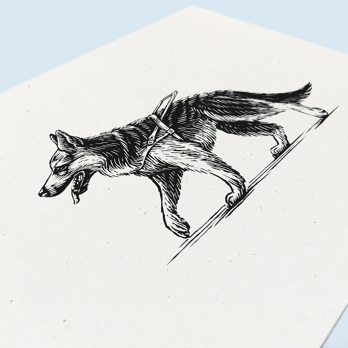 German Shepherd Art Print