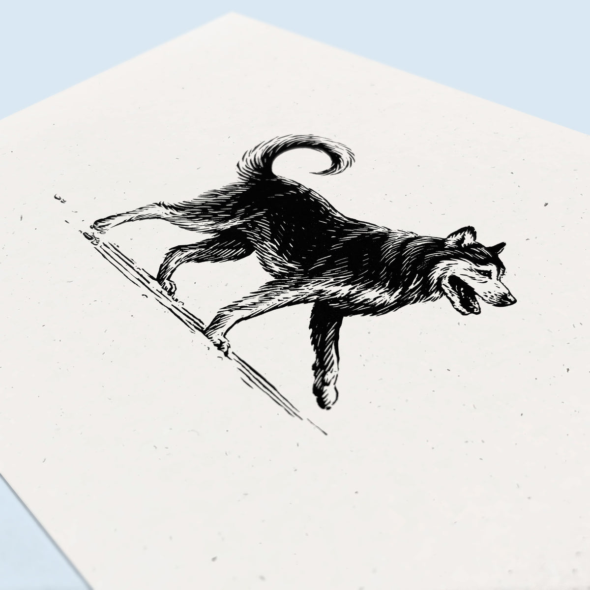 Husky Art Print
