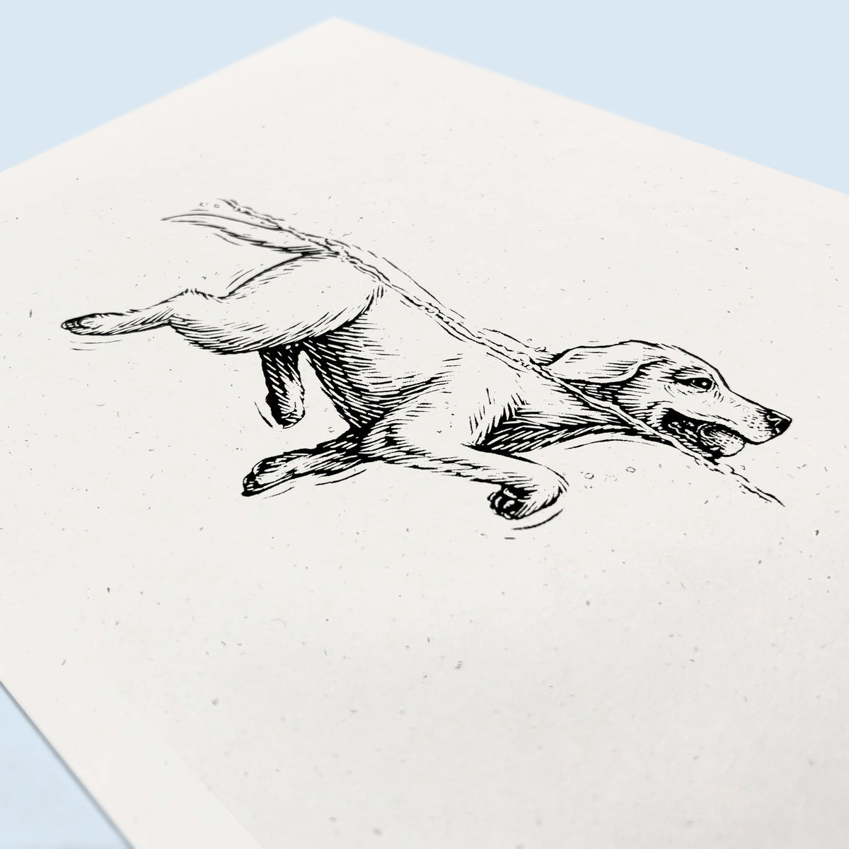 Labrador Retriever Art Print