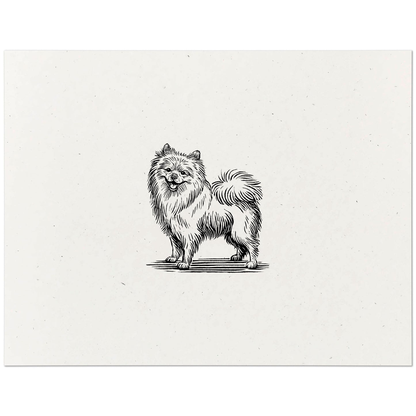 Pomeranian Art Print