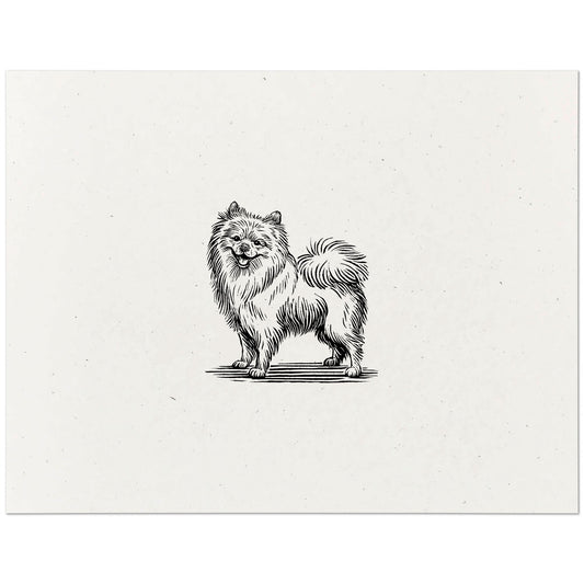 Pomeranian Art Print