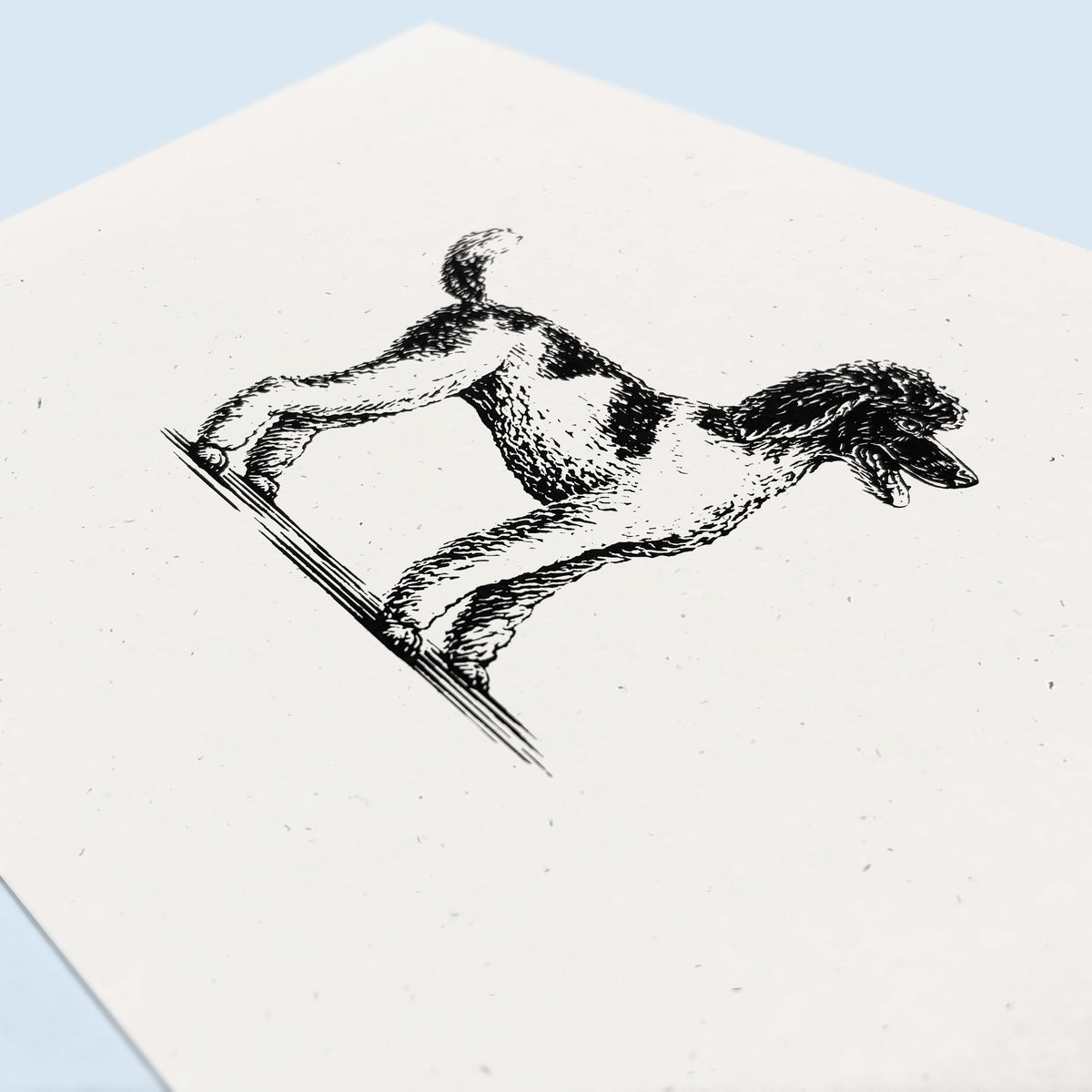 Standard Poodle Art Print