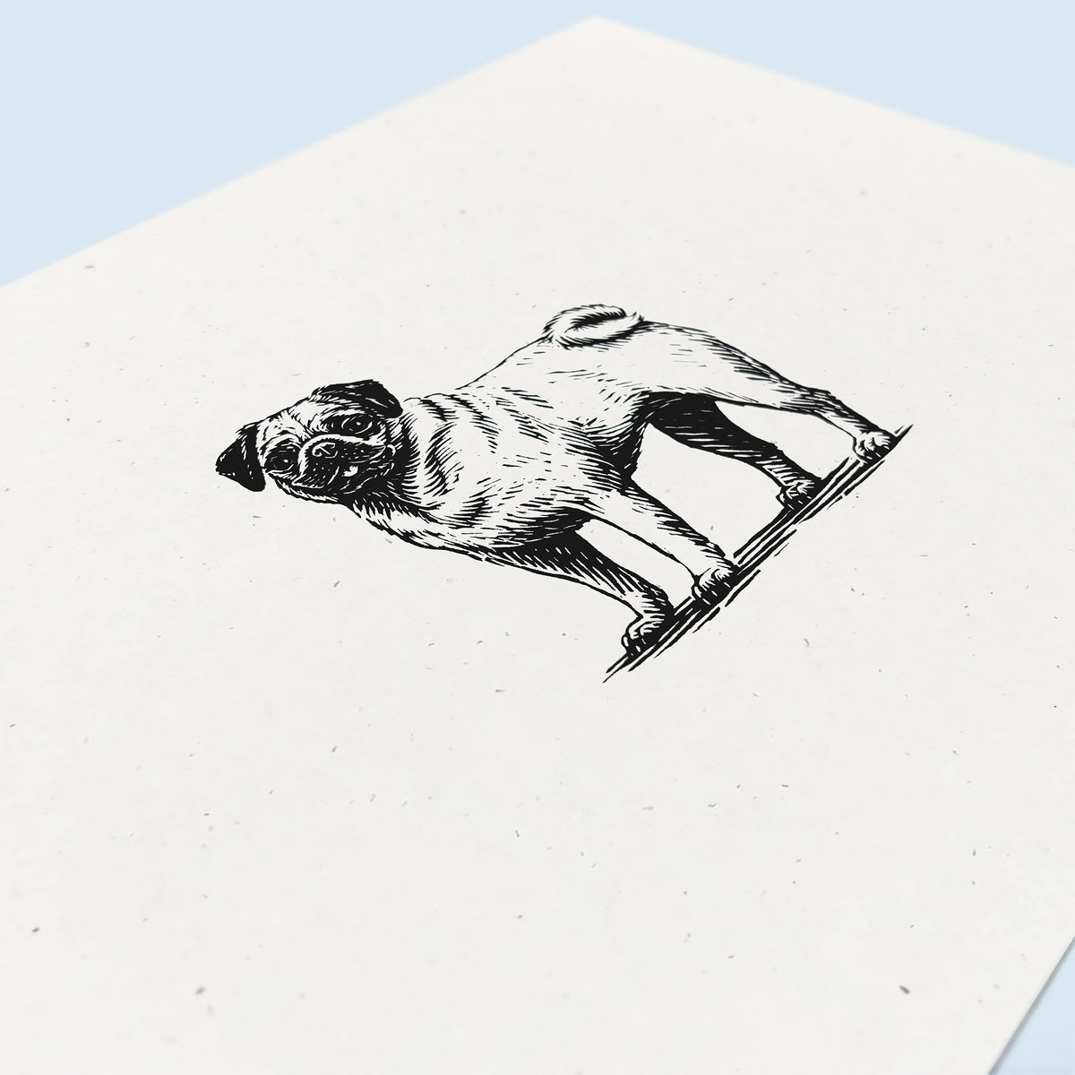 Pug Art Print