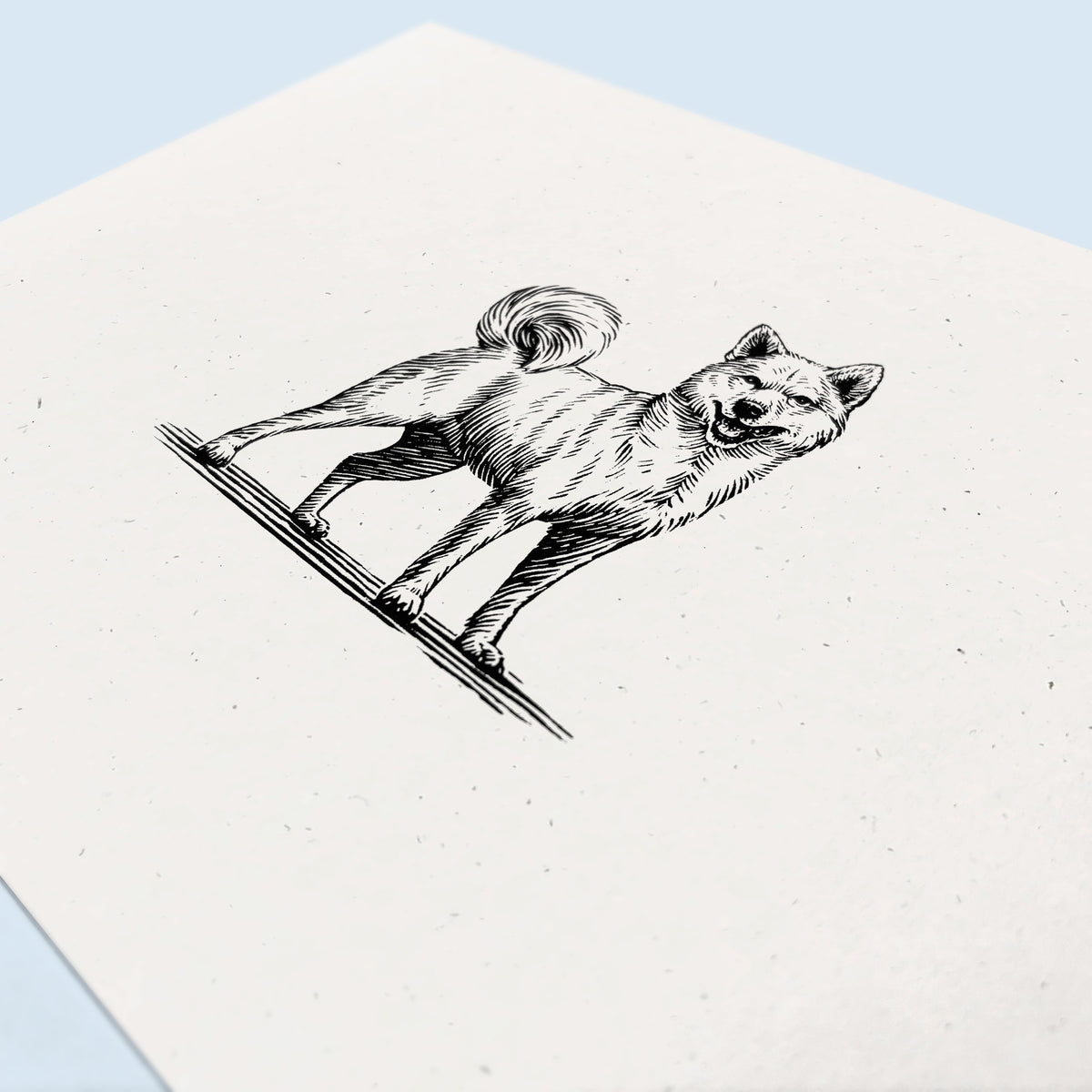 Shiba Inu Dog Art Print