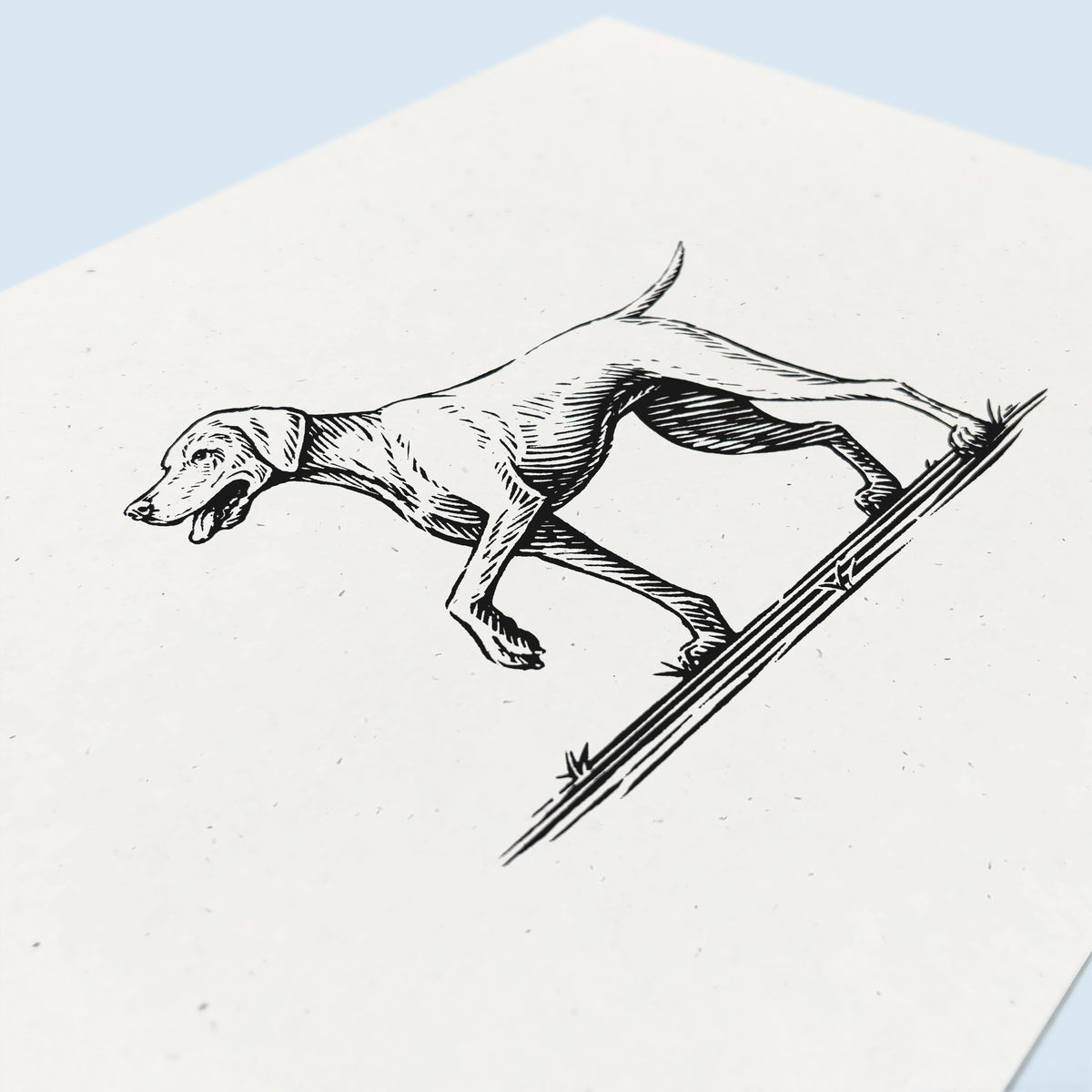 Vizsla Art Print