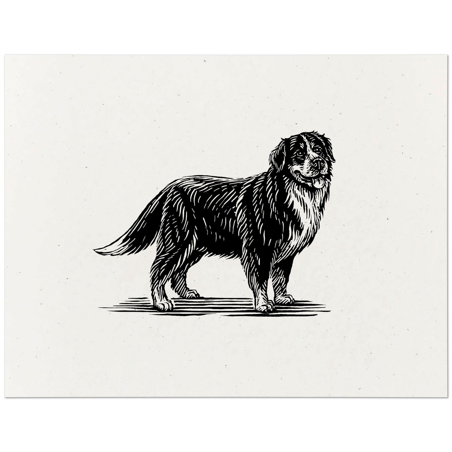 Bernese Mountain Dog Art Print
