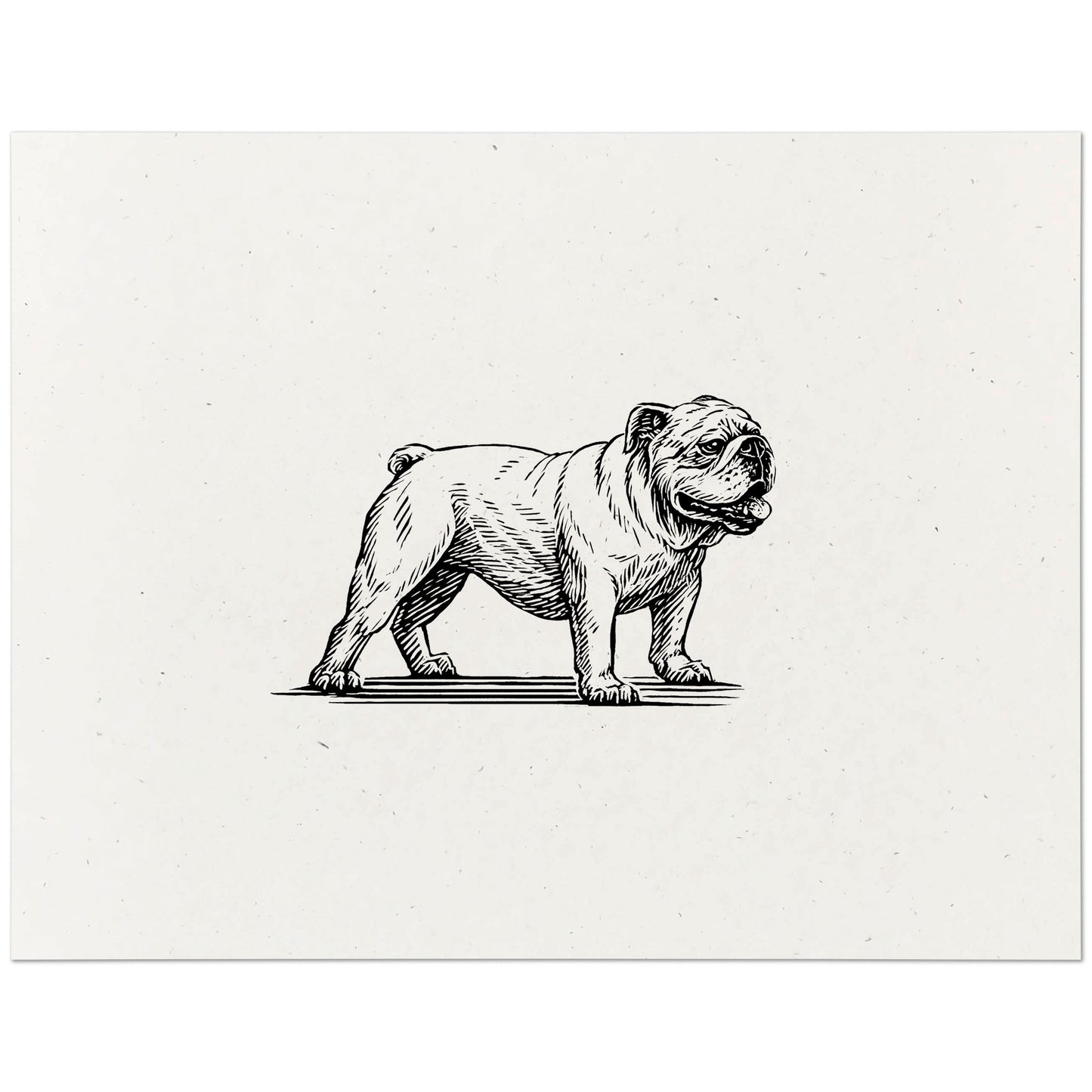 Bulldog Art Print