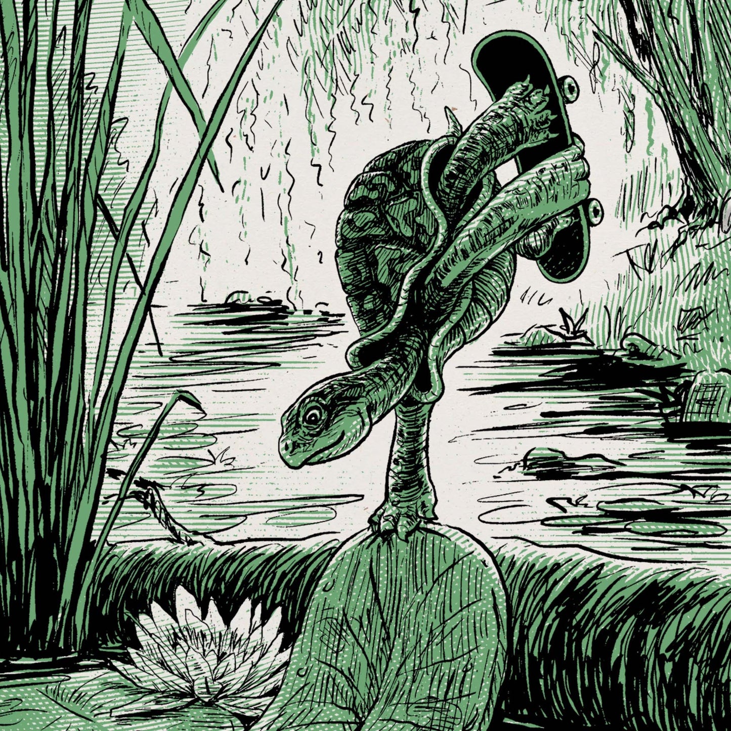 Skateboarding Turtle Screen Print