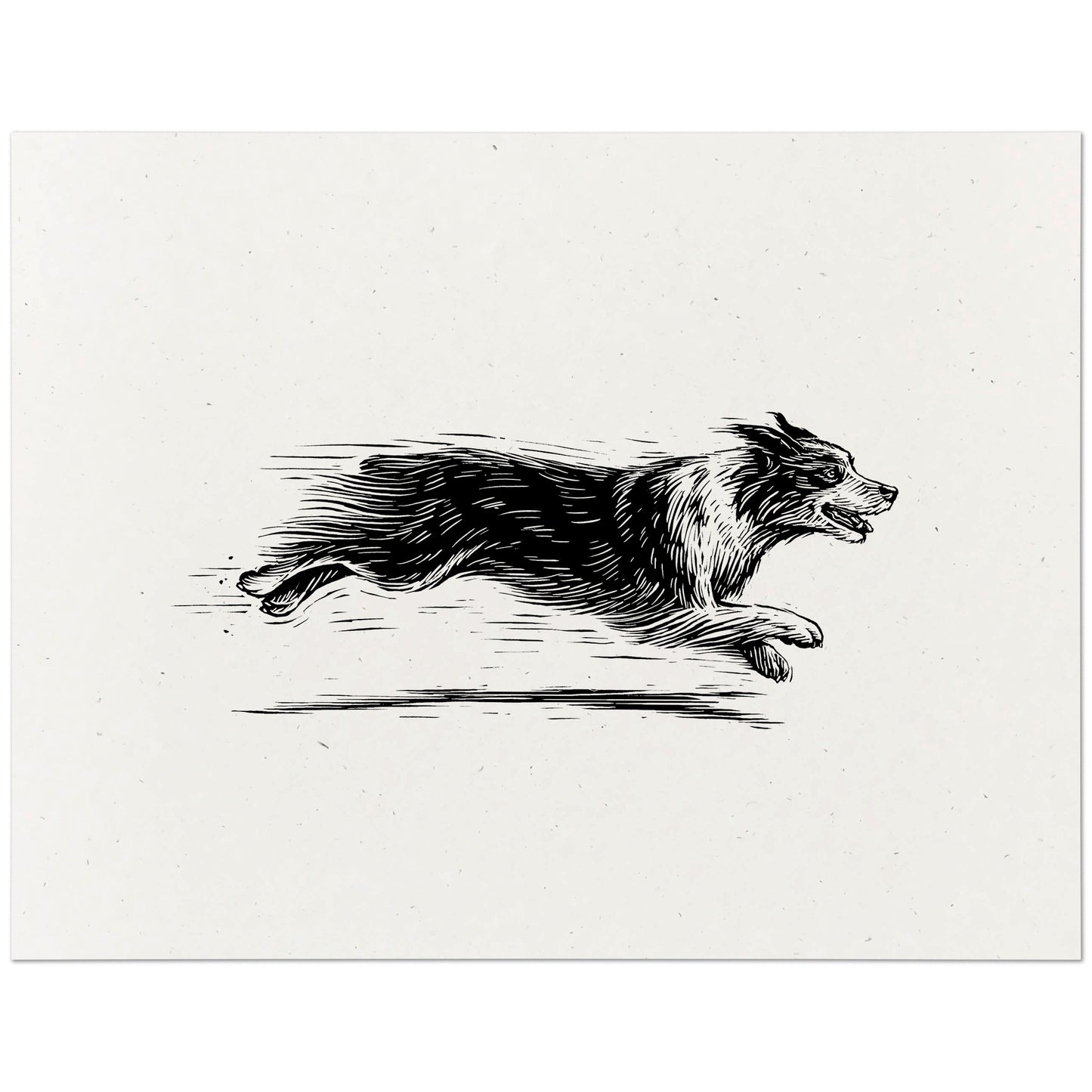 Australian Shepherd Art Print