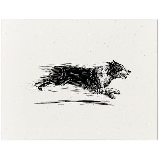 Australian Shepherd Art Print