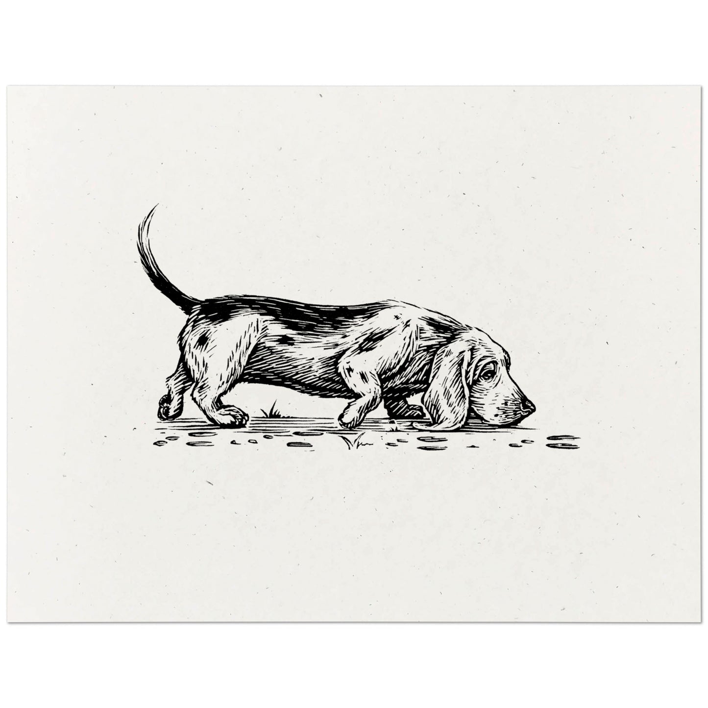 Basset Hound Art Print