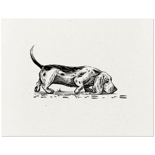 Basset Hound Art Print
