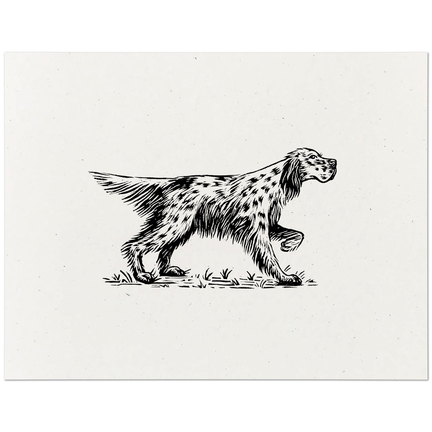 English Setter Art Print