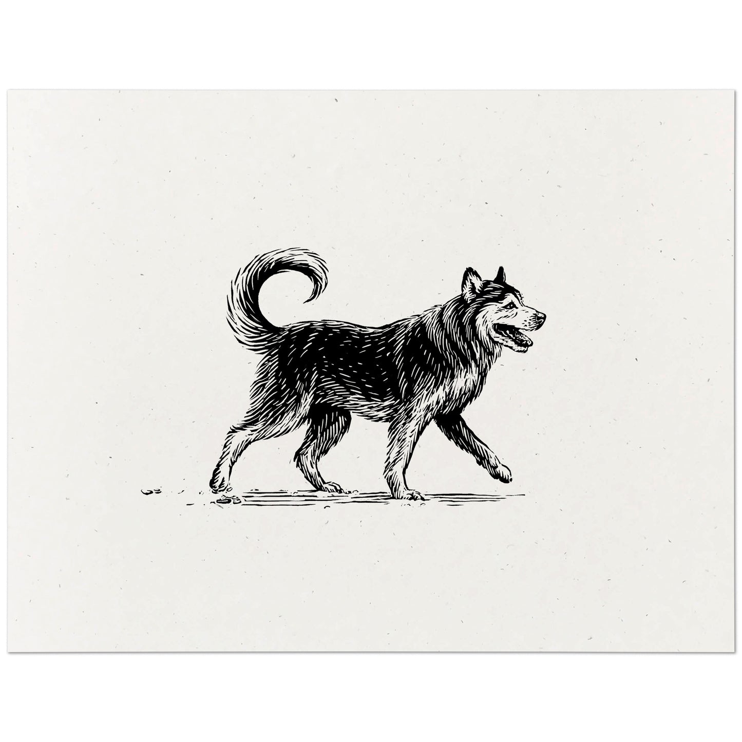 Siberian Husky Art Print