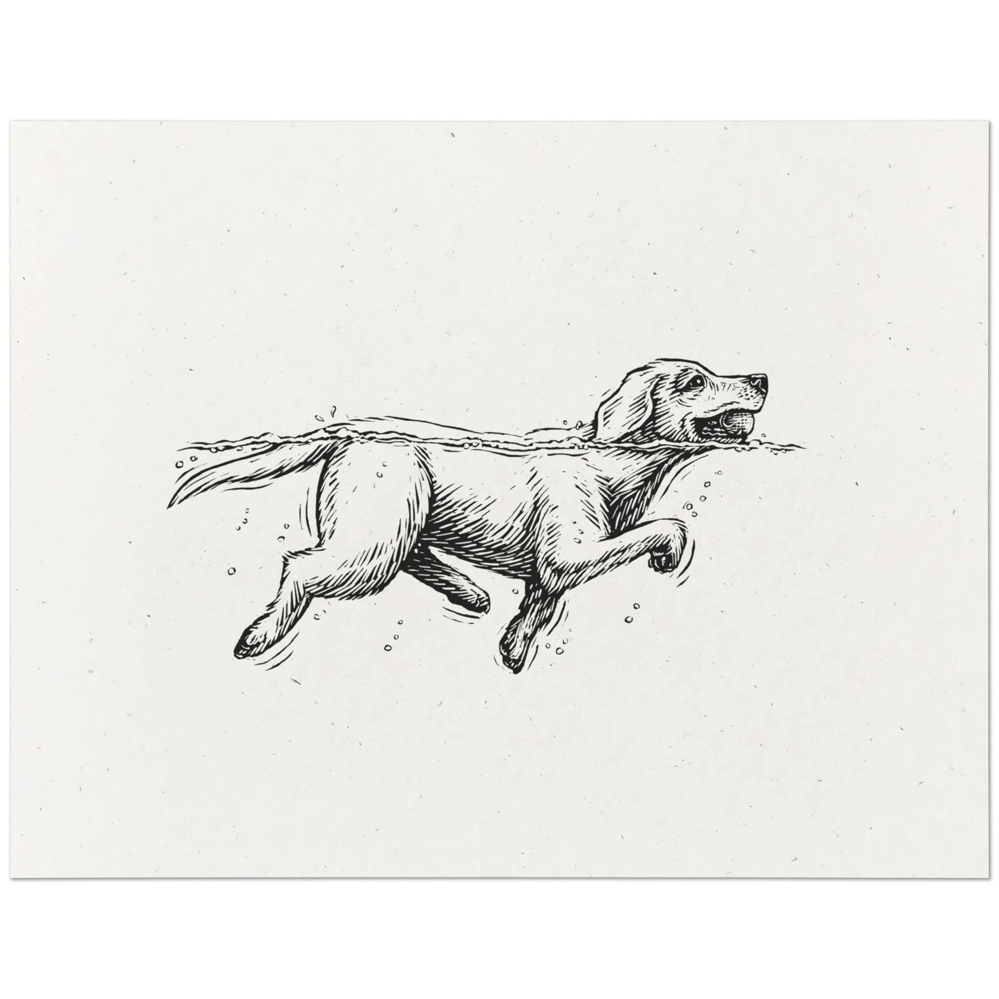 Labrador Retriever Art Print