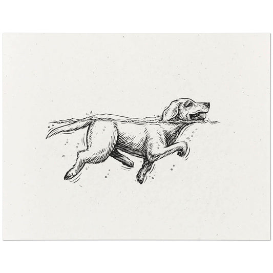 Labrador Retriever Art Print