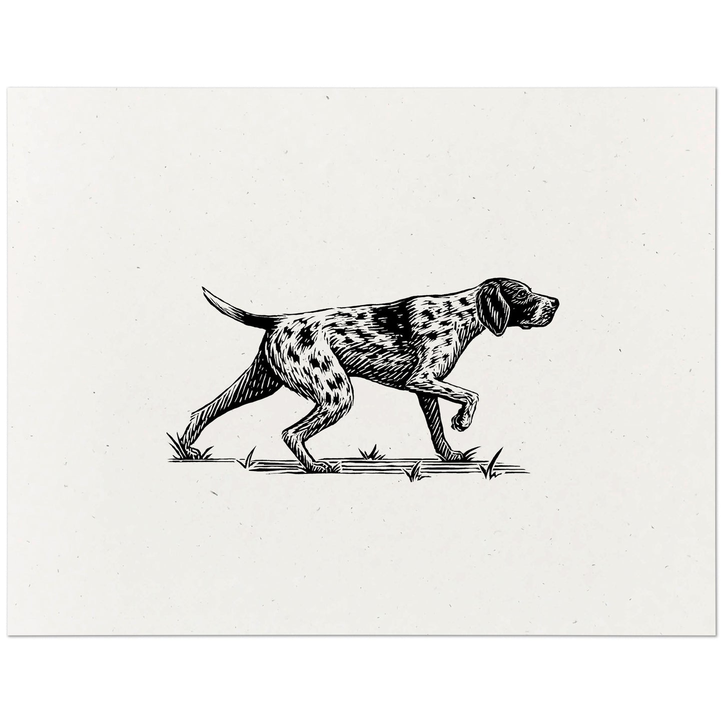 German Shorthaired Pointer Art Print