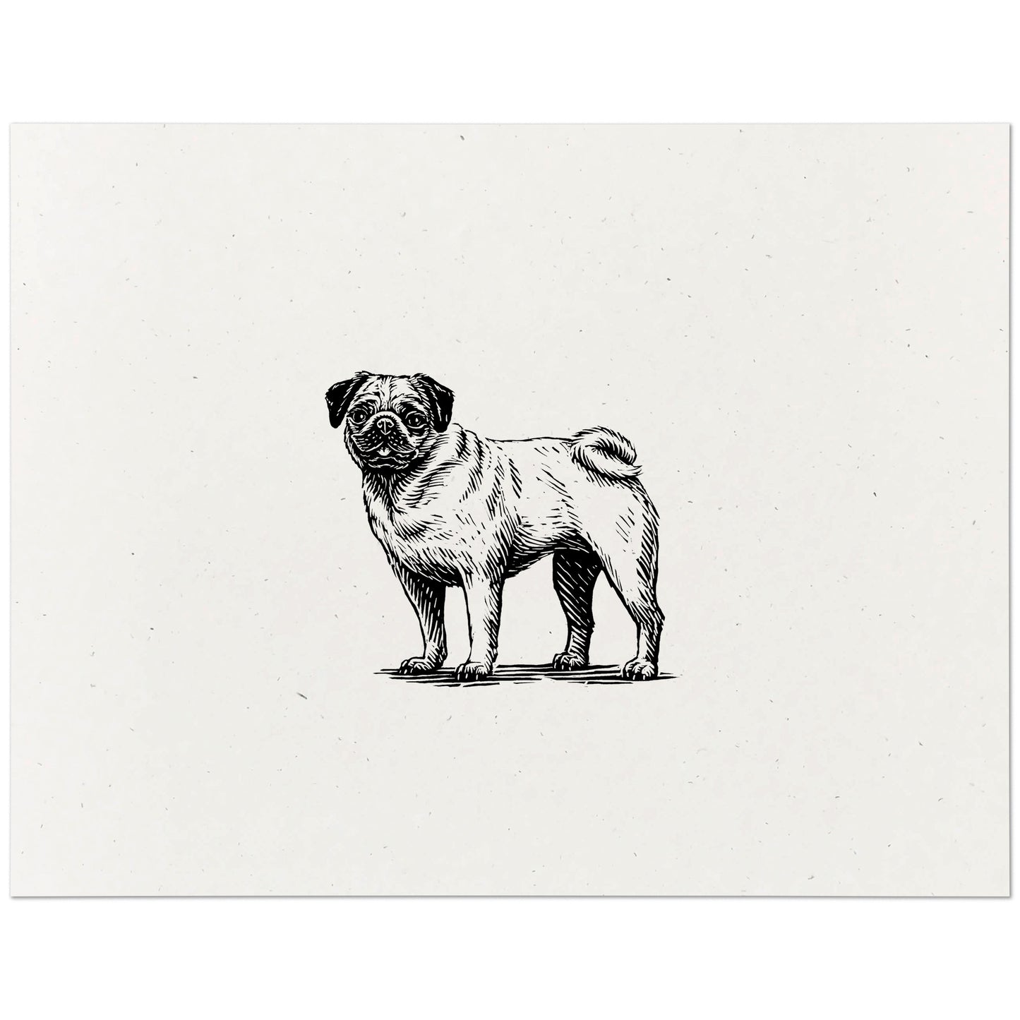 Pug Art Print
