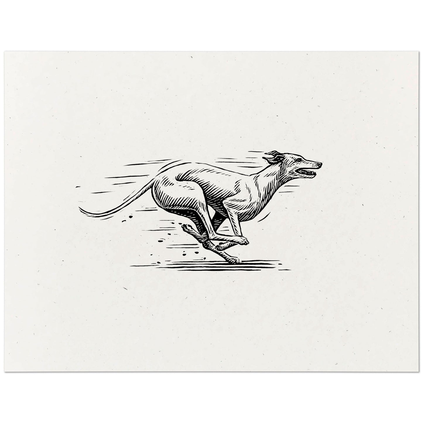 Greyhound Art Print