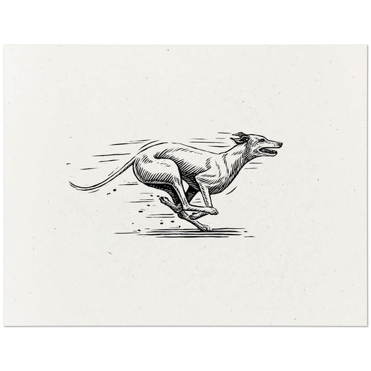 Greyhound Art Print