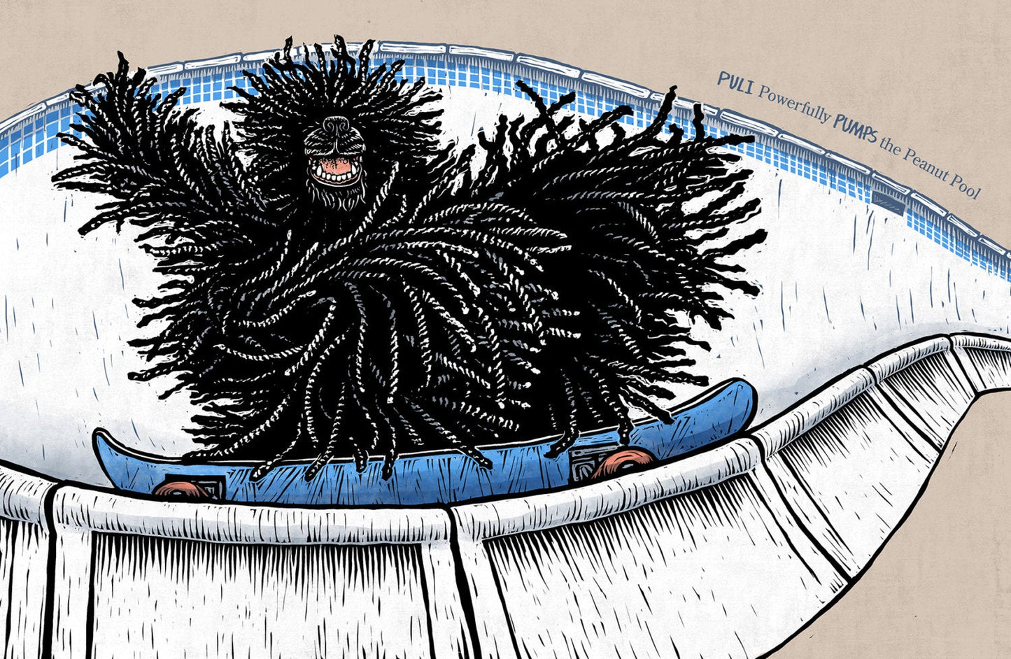 See Spot Shred | ABC Skateboarding Dog Children's Book