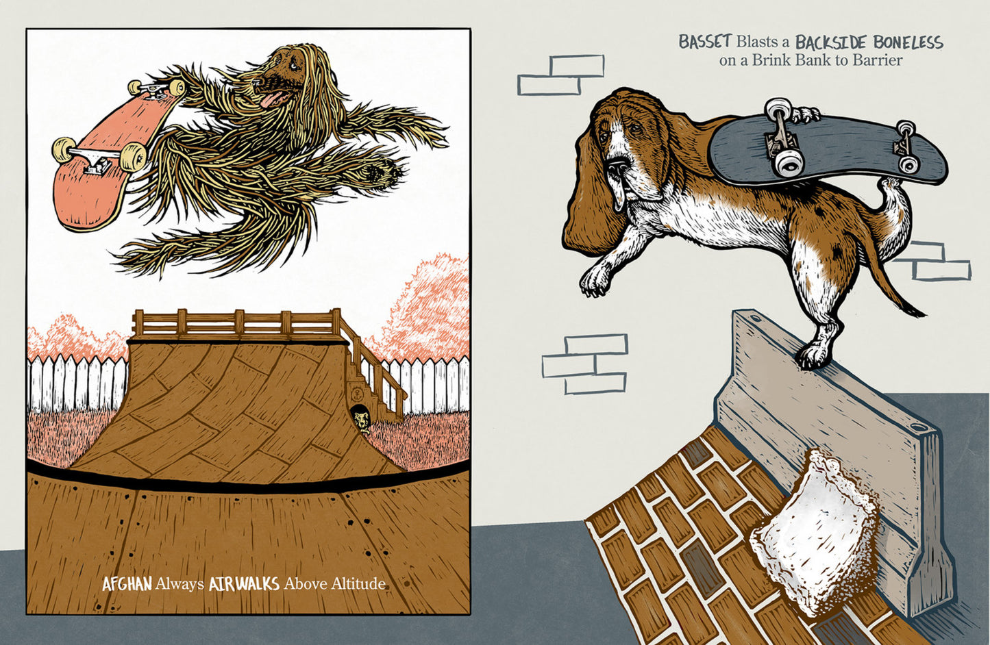 See Spot Shred | ABC Skateboarding Dog Children's Book
