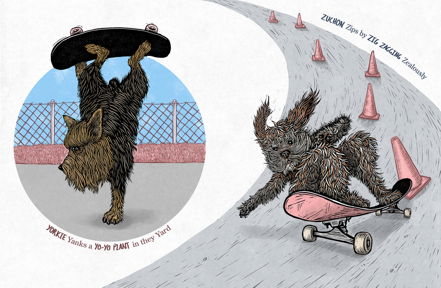 See Spot Shred | ABC Skateboarding Dog Children's Book