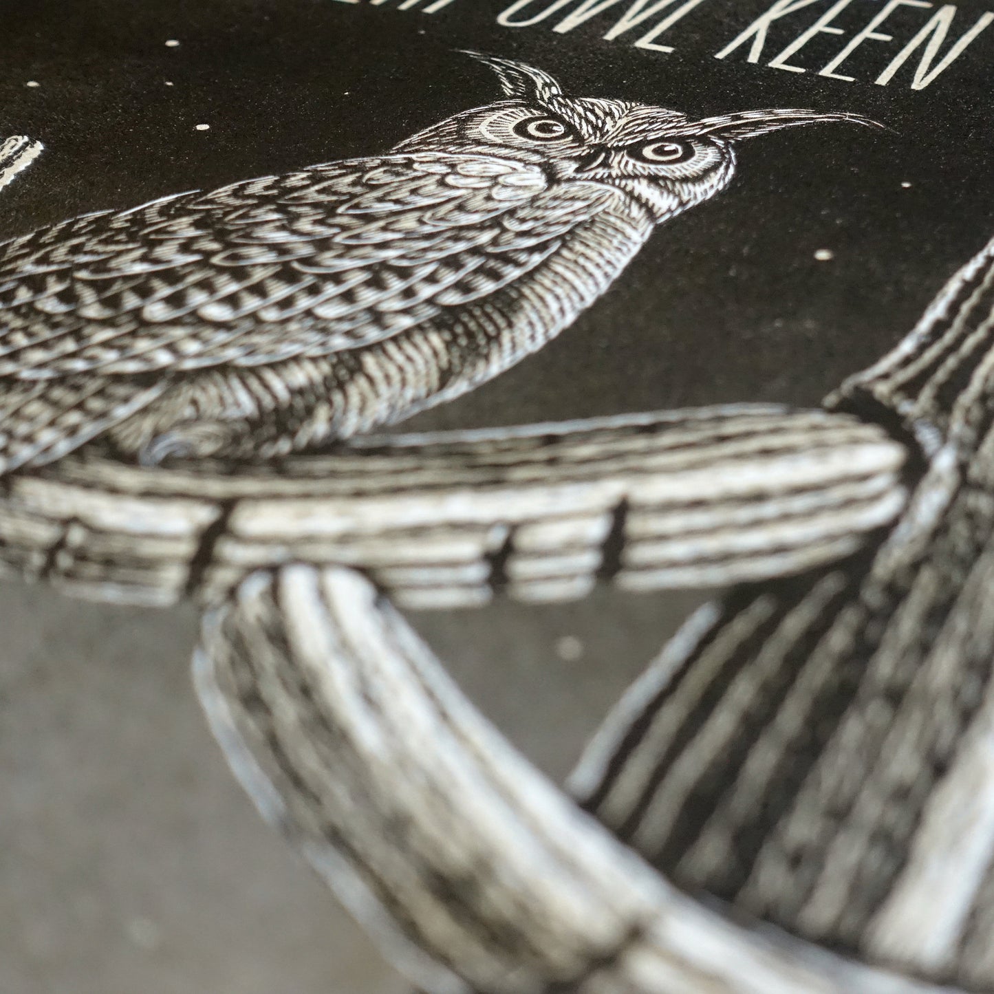 Robert Owl Keen Art Print