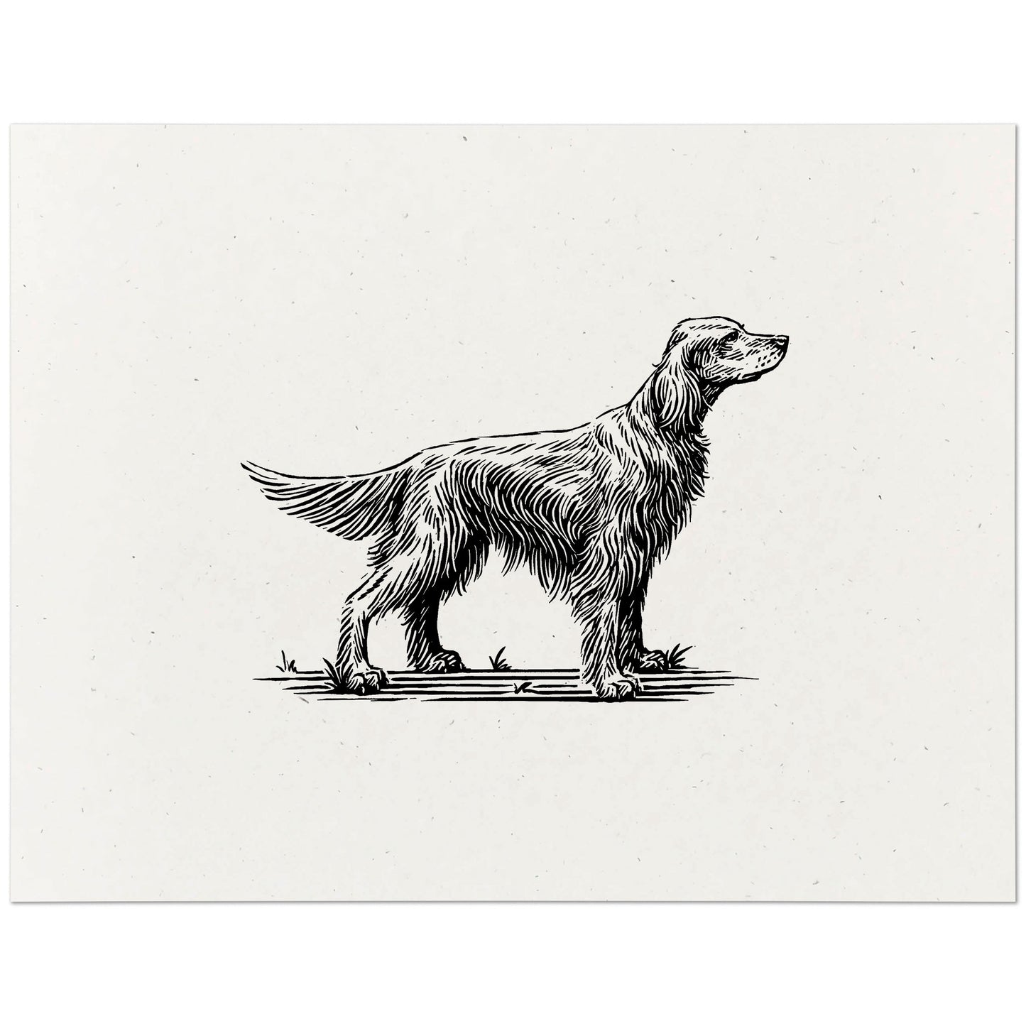 Irish Setter Art Print