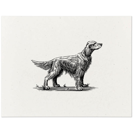 Irish Setter Art Print