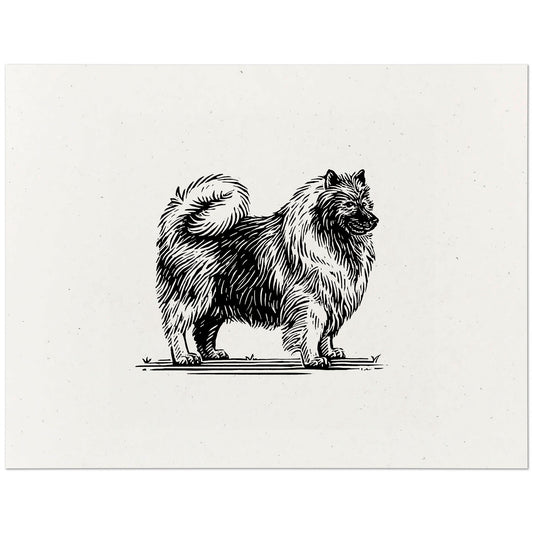 Keeshond Art Print