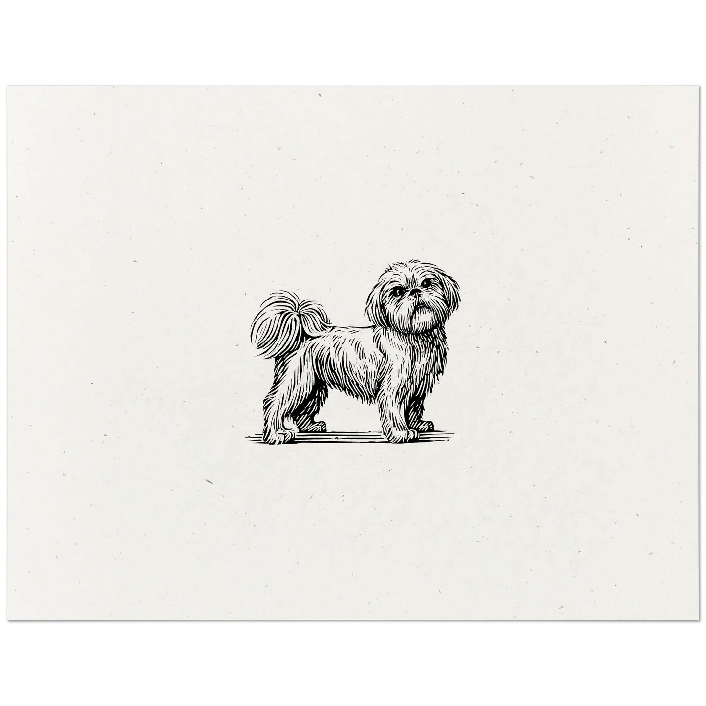 Shih Tzu Art Print
