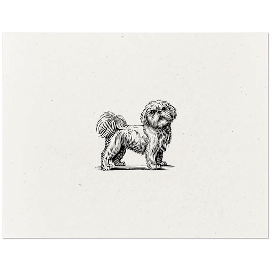 Shih Tzu Art Print