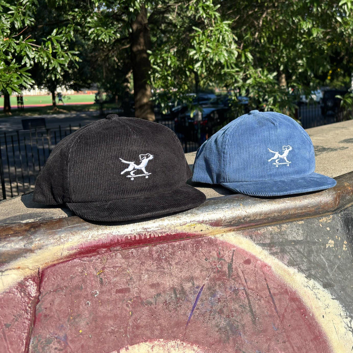 Two baseball caps, one black corduroy and one blue corduroy, both featuring a white embroidered dog logo, resting on the edge of a graffiti-covered concrete skate ramp outdoors.