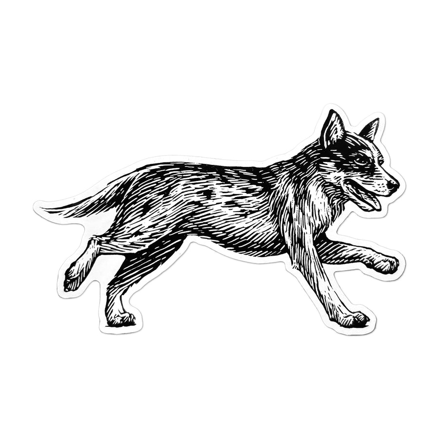 Australian Cattle Dog sticker with a black-and-white illustration of a running dog