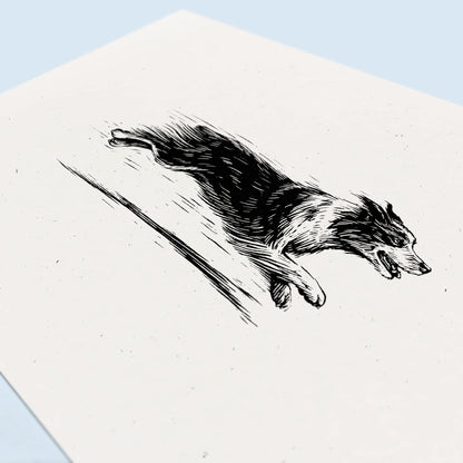 Australian Shepherd Art Print