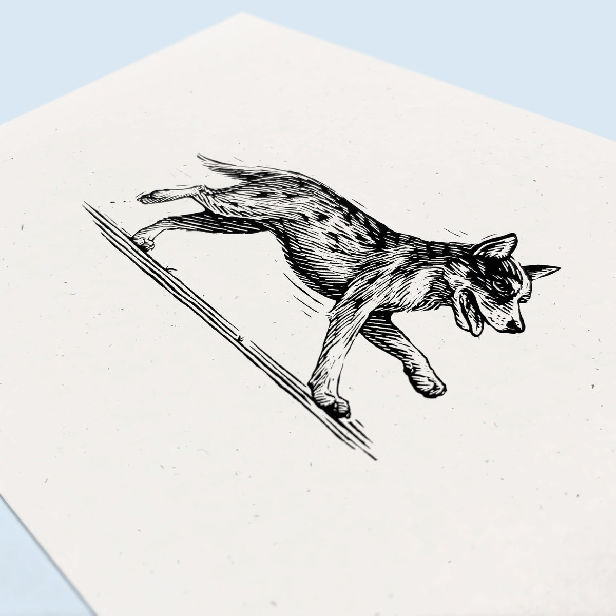 Australian Cattle Dog Art Print