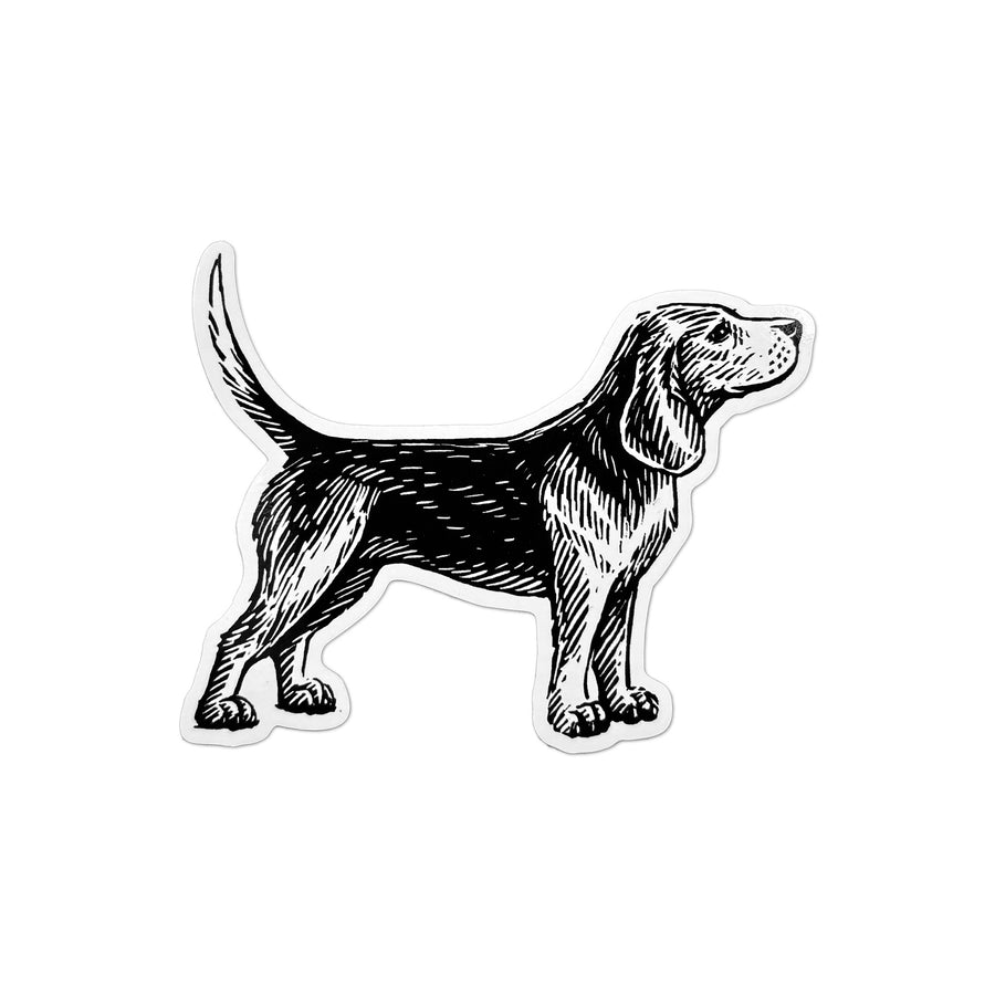 Beagle vinyl sticker with a black and white illustration of a standing dog