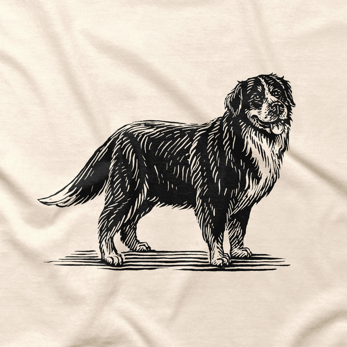 Bernese Mountain Dog T-Shirt