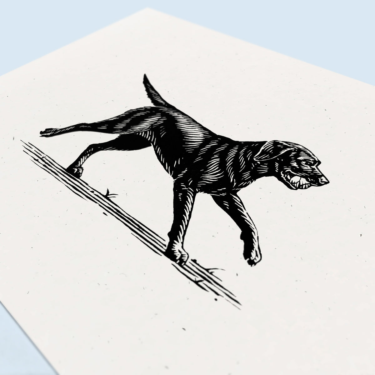 Black Lab Dog Art Print