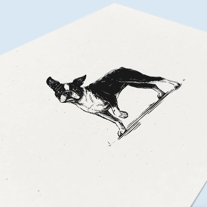 Boston Terrier Art Print