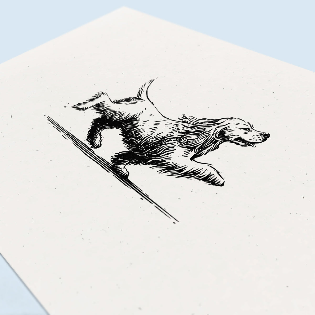Cocker Spaniel Art Print