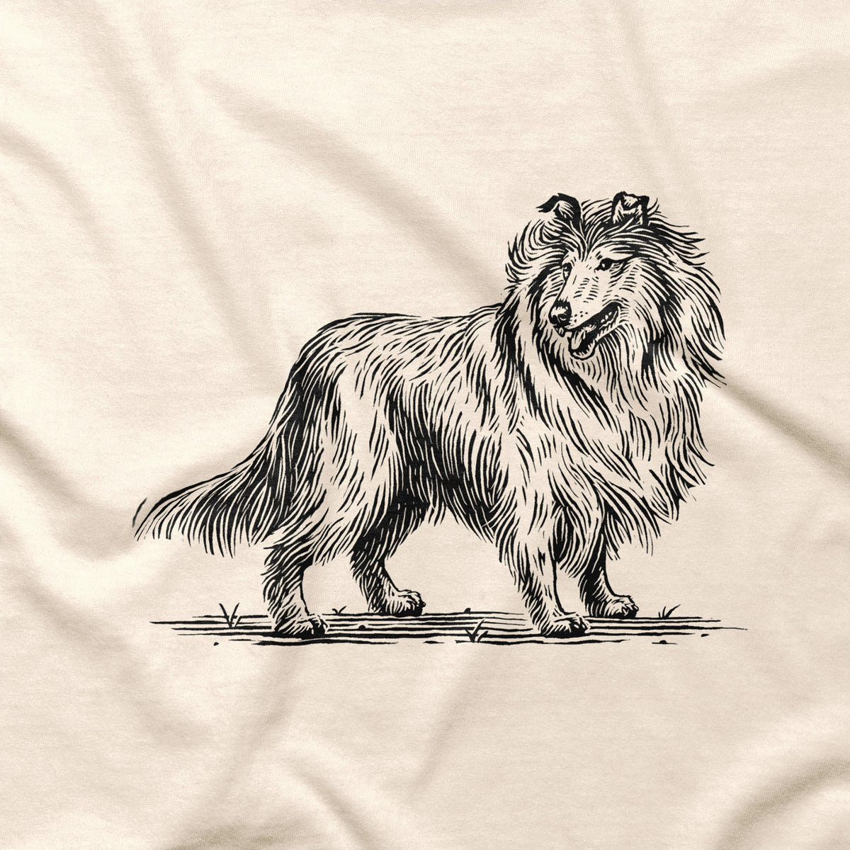 Collie Dog T-shirt