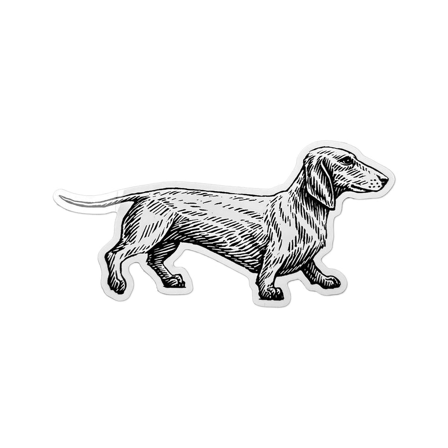 Dachshund vinyl sticker with a black and white engraved-style dog design