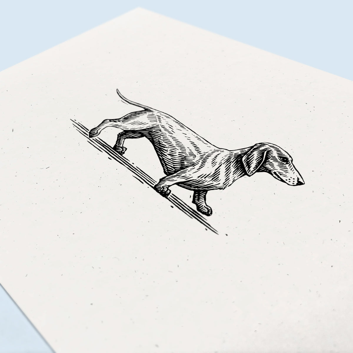 Dachshund Art Print