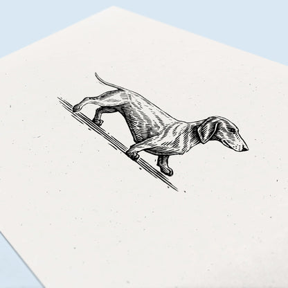 Dachshund Art Print